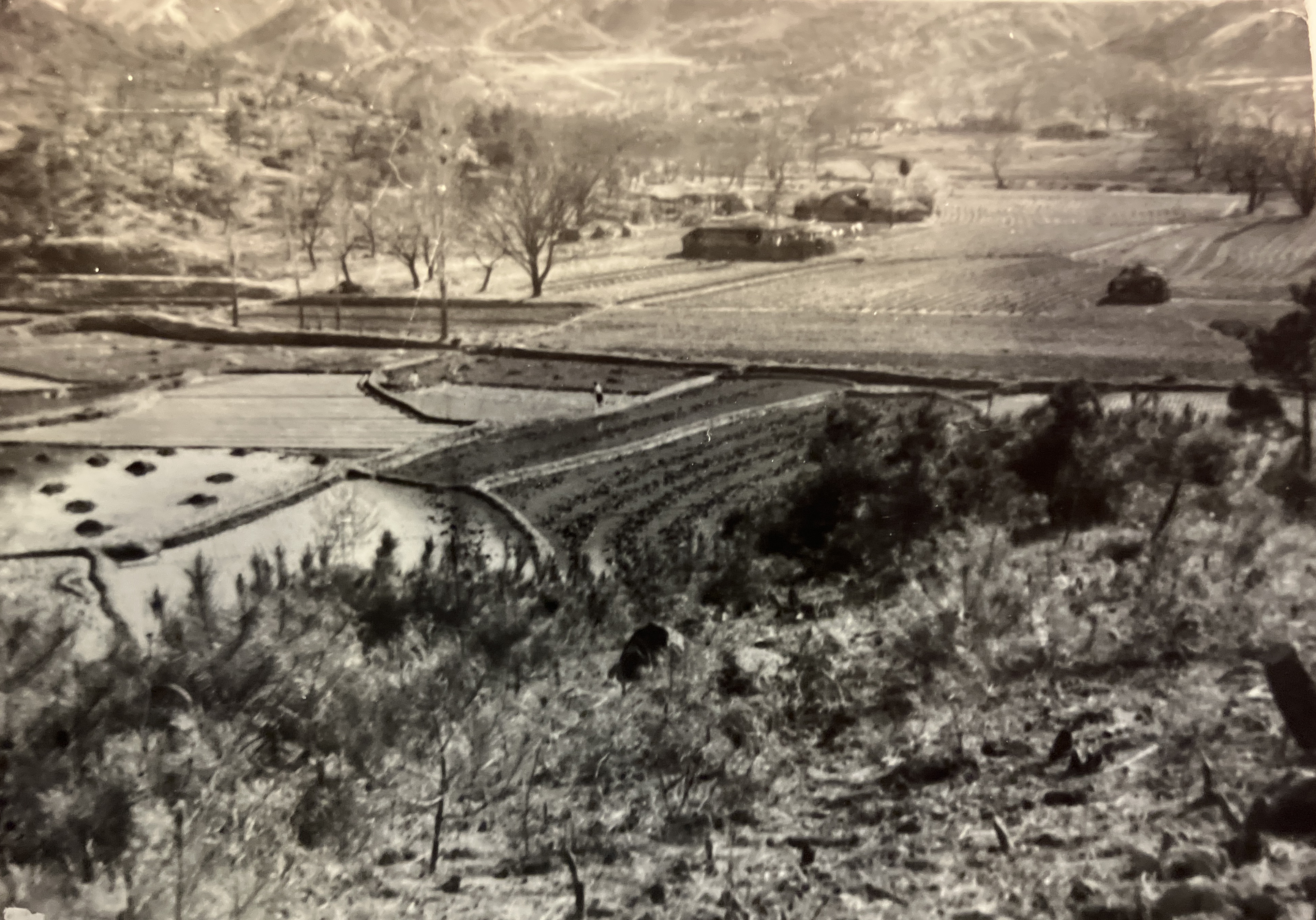 Historical photo