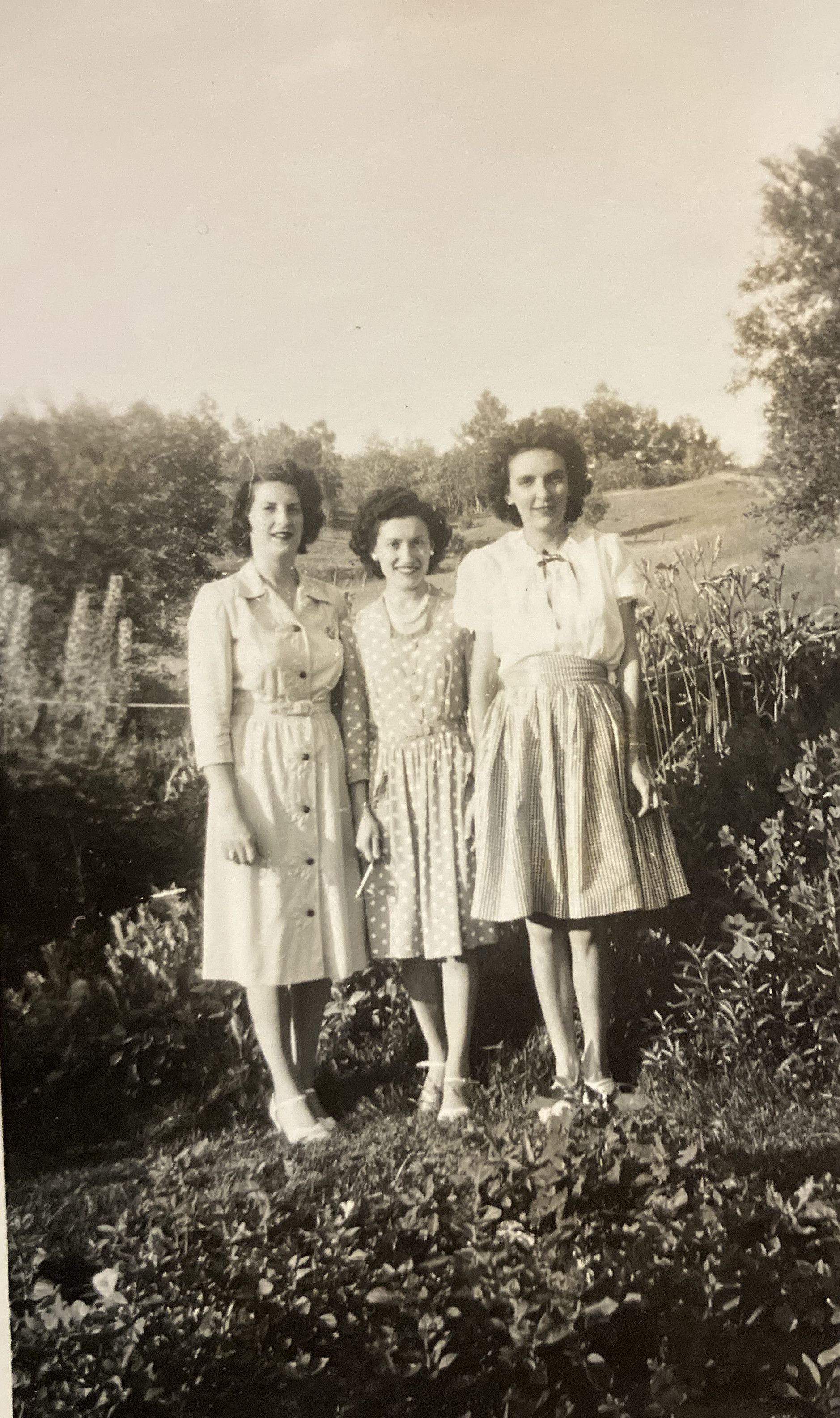 Historical photo