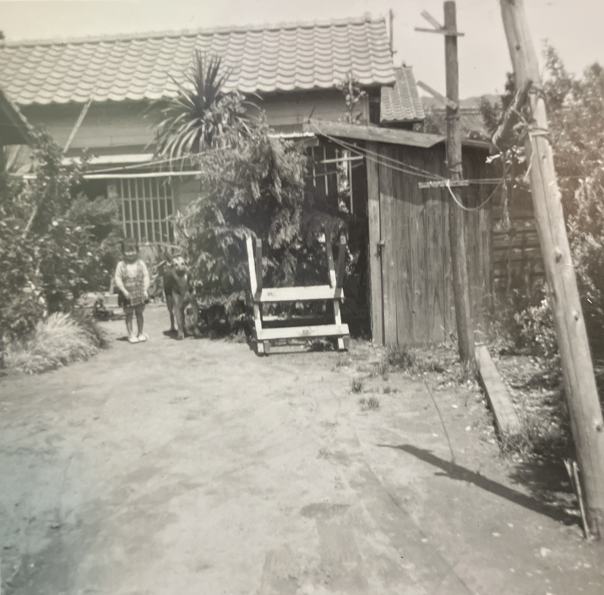 Historical photo