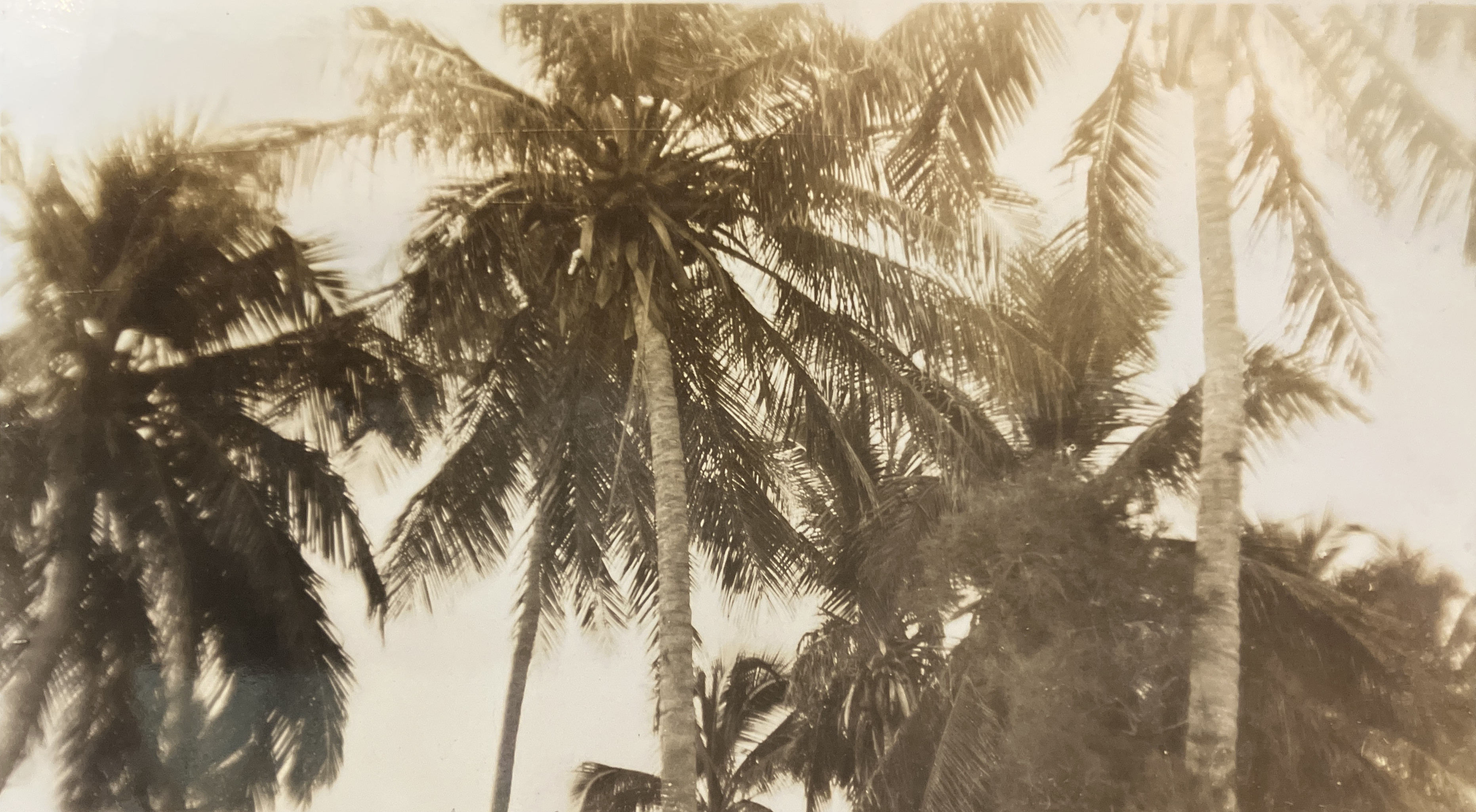 Historical photo