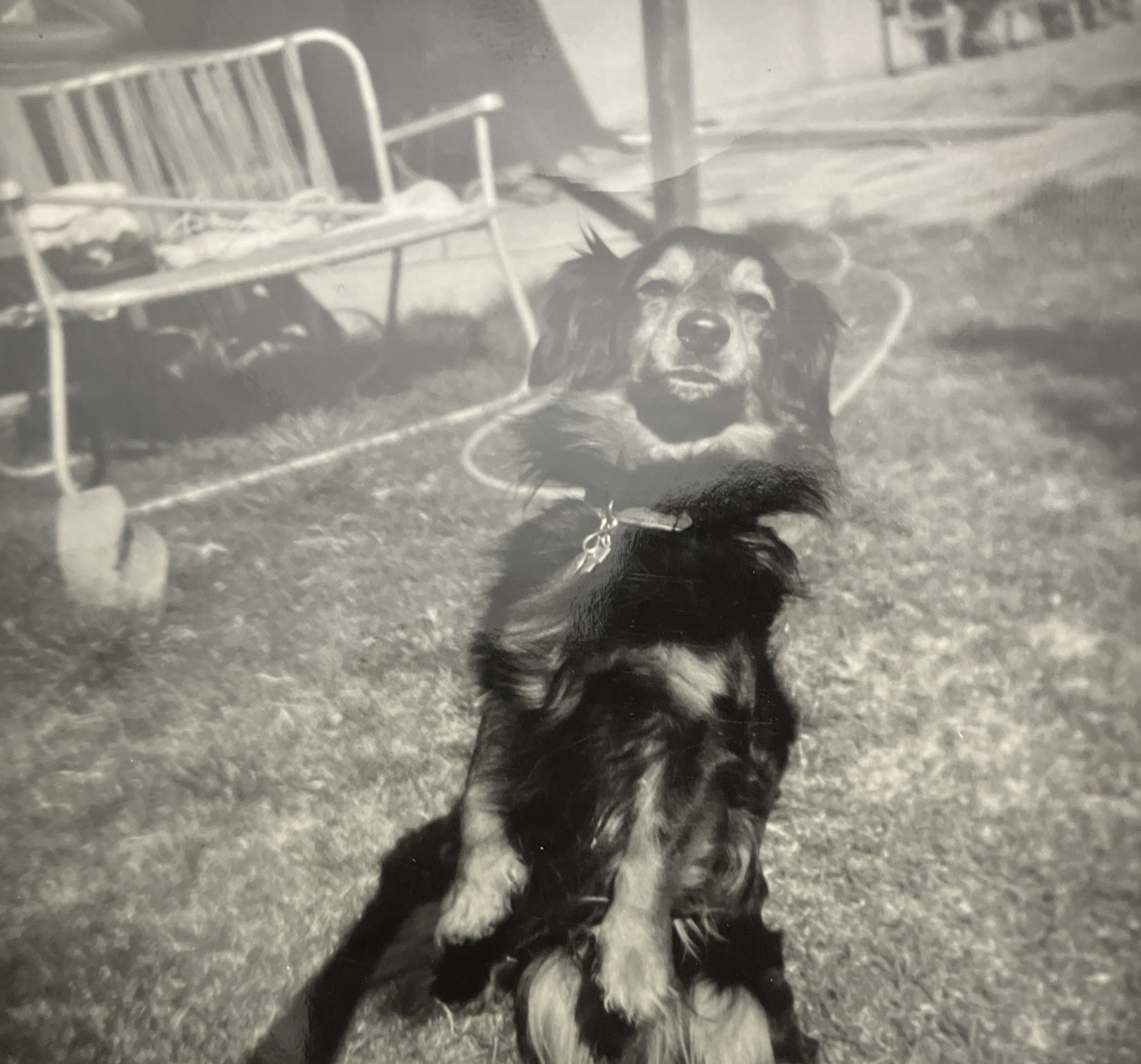 Historical photo