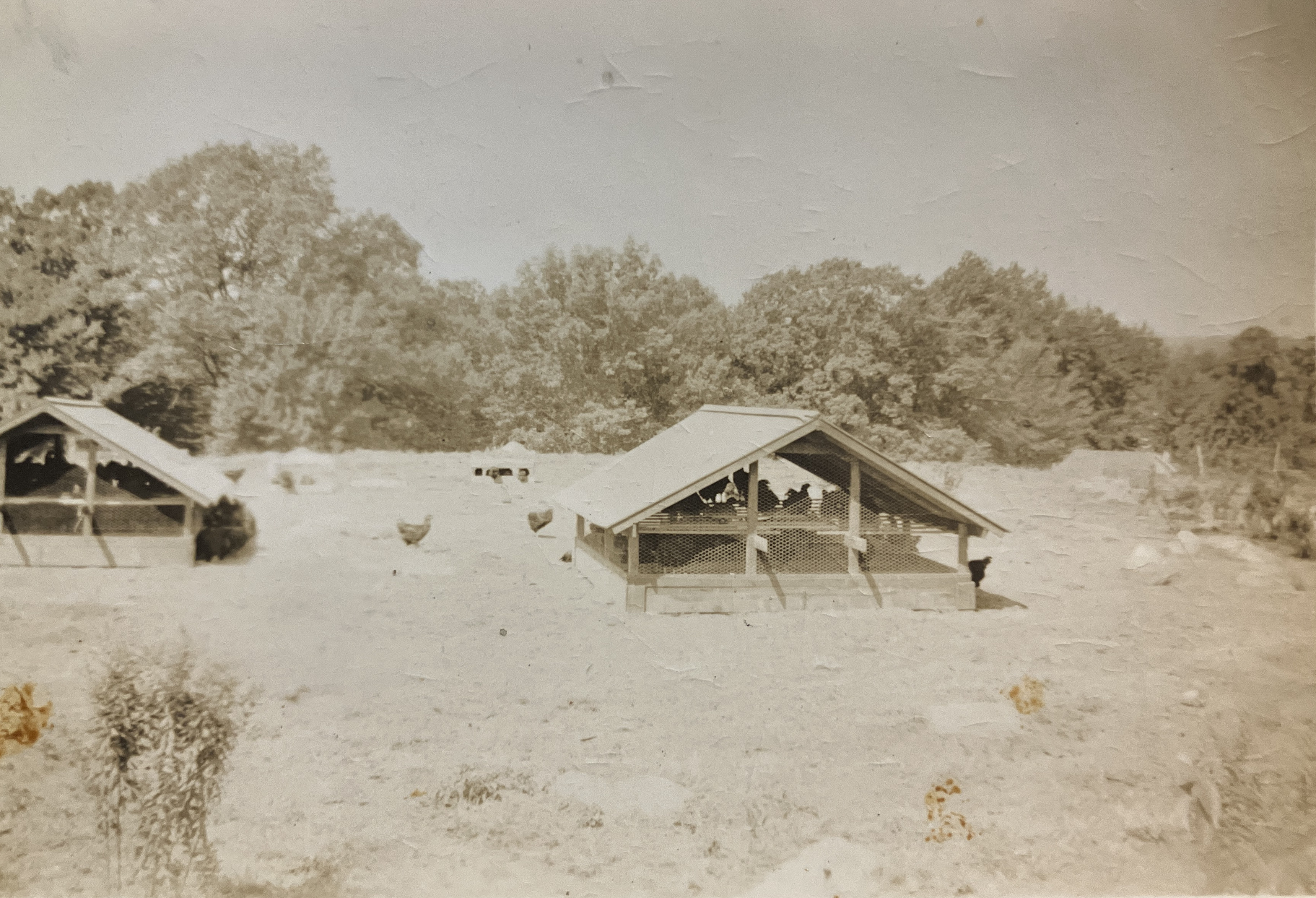 Historical photo