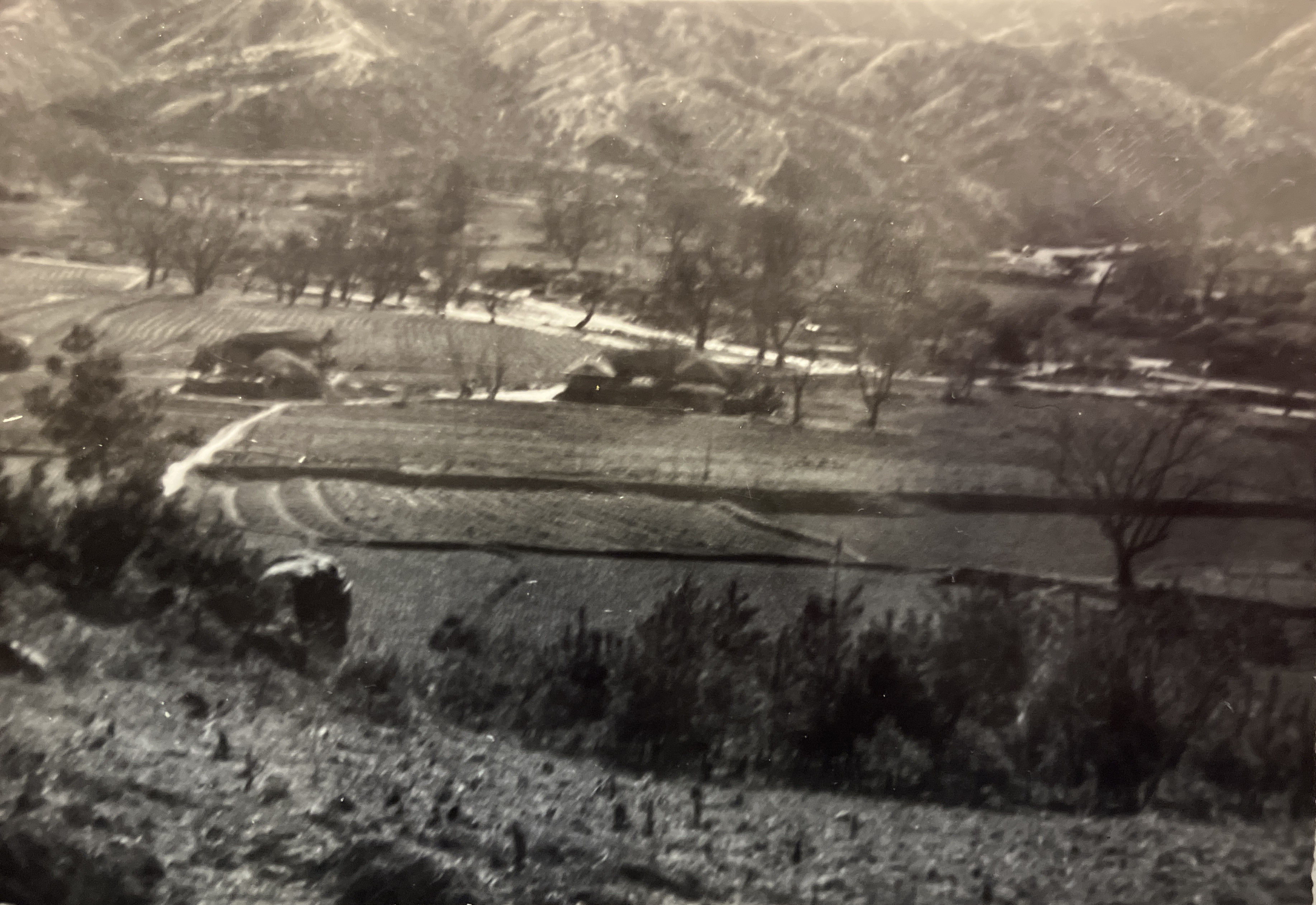 Historical photo