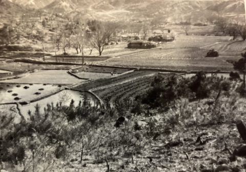 Historical photo
