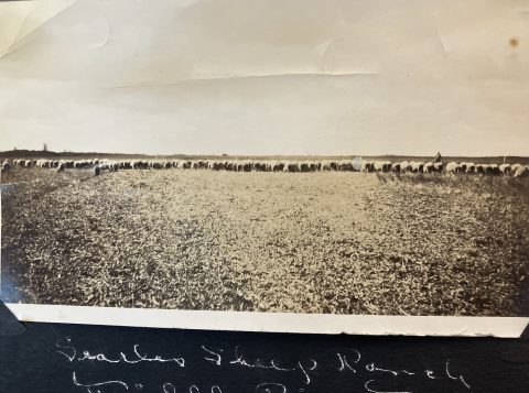 Historical photo