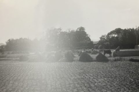 Historical photo