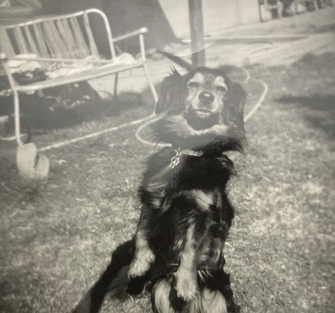 Historical photo