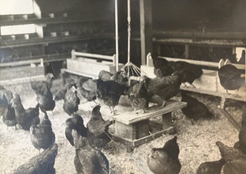 Historical photo