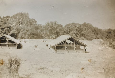 Historical photo