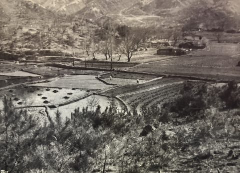 Historical photo